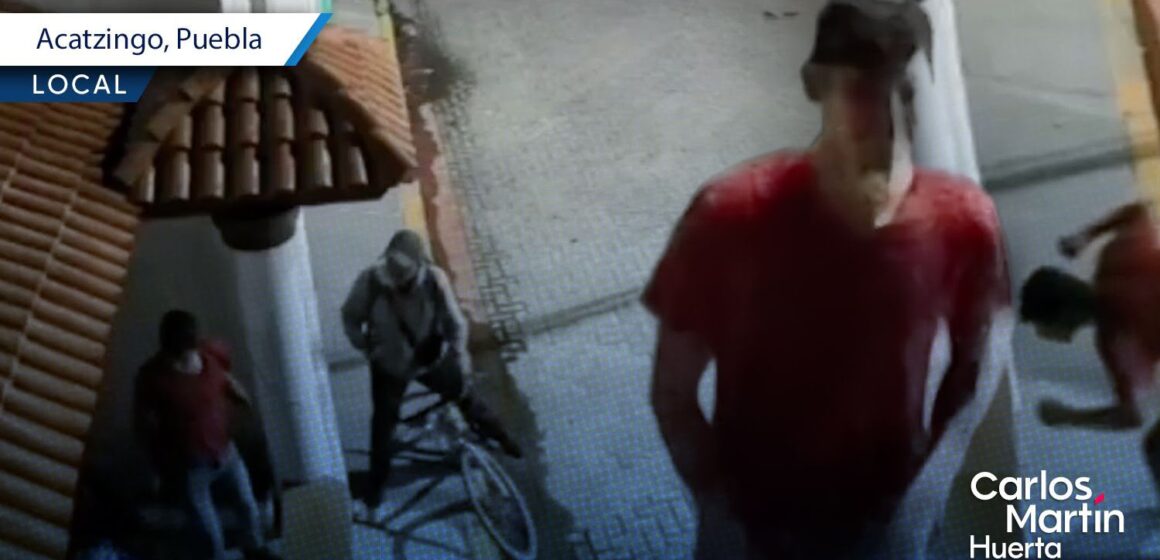 Buscan a sujeto que mató a golpes a un perro en una cochera de Acatzingo