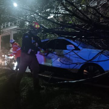 Lluvias en Puebla provocan caída de árboles y cierres viales