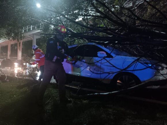 Lluvias en Puebla provocan caída de árboles y cierres viales