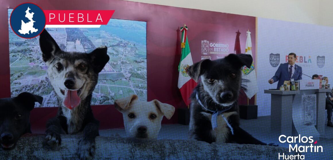 La Ciudad de los Seres Sintientes: Así será el complejo de bienestar animal en Puebla