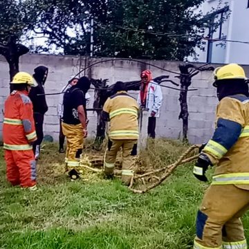Bomberos rescatan a perrito atrapado en un pozo en Cuautlancingo