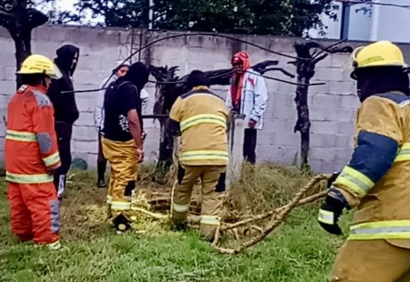 Bomberos rescatan a perrito atrapado en un pozo en Cuautlancingo