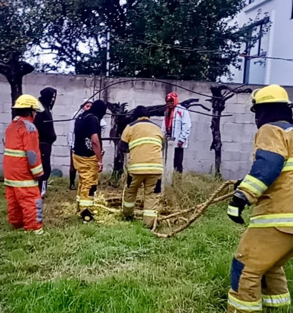 Bomberos rescatan a perrito atrapado en un pozo en Cuautlancingo