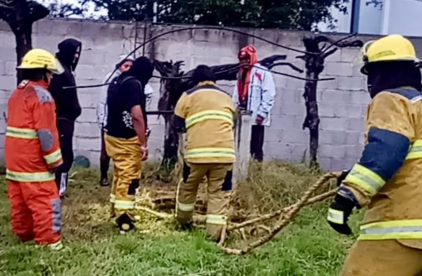 Bomberos rescatan a perrito atrapado en un pozo en Cuautlancingo