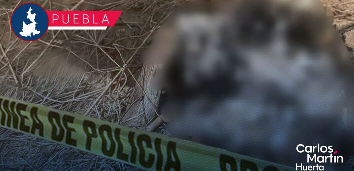 Localizan cuerpo calcinado sobre la carretera federal México-Puebla