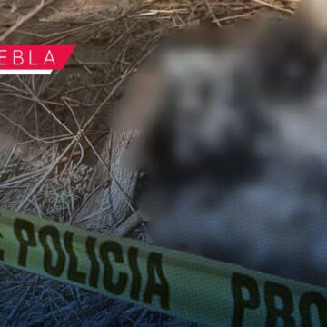 WhatsApp Image 2026-10-13 at 11.18.52 AM Localizan cuerpo calcinado sobre la carretera federal México-Puebla