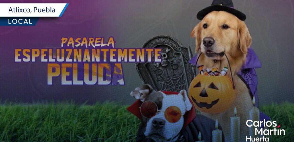 Atlixco convoca al Concurso Municipal de Disfraces para Perros 2026