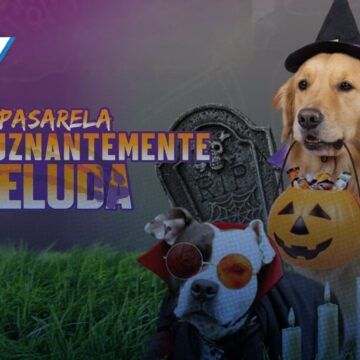 Atlixco convoca al Concurso Municipal de Disfraces para Perros 2026